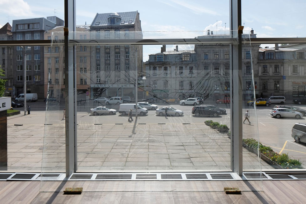 OAOA: XII Baltic Triennial Riga (2016)