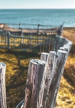 2023-05-16_LCENFallPhotos(Stu+TA)-144 Large.jpeg