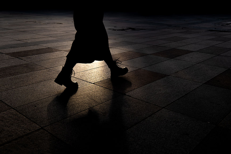 Taken with the Lumix 70-300 lens.