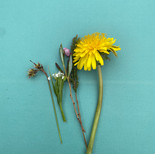IMG_4822.jpeg