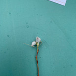 IMG_3408.jpeg
