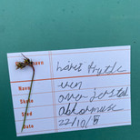 IMG_4827.jpeg