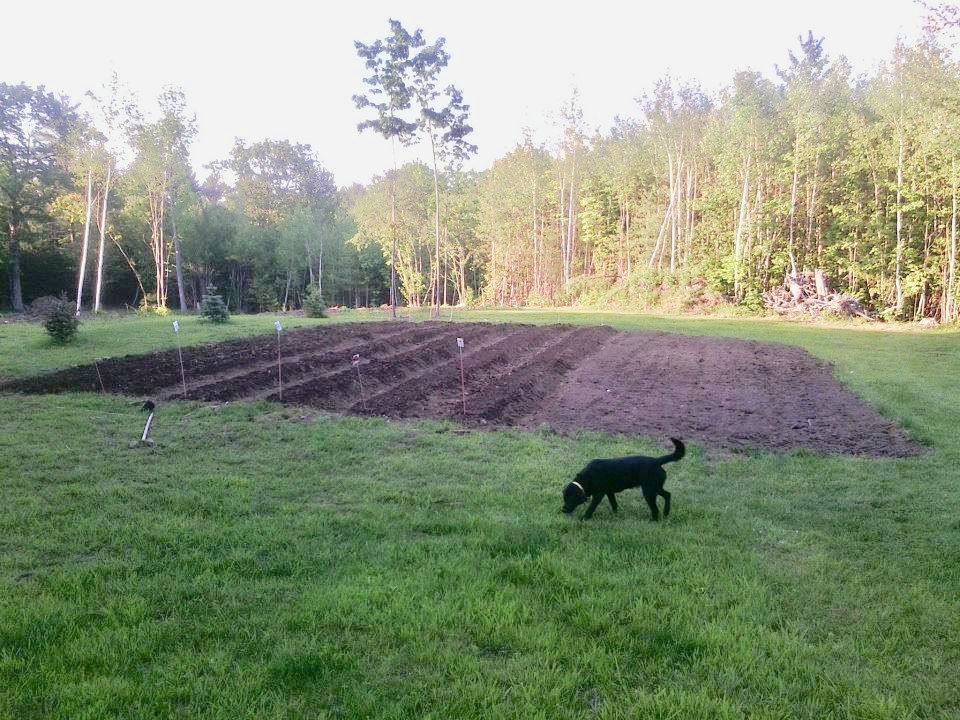 image8.jpeg
