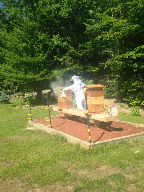 image12.jpeg