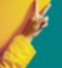 yellow image.png