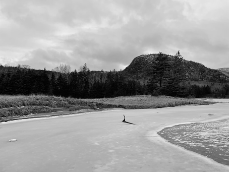 Emulating a Professional Photographer Comment