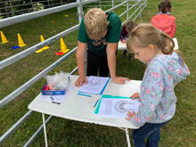 Konzentrieren mit Tieren
