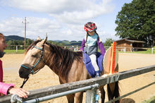 Tierisches Glücksrad