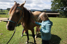 Pferde mit selbstgemachten Fingerfarben bemalen
