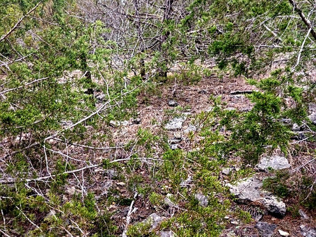 Glade Restoration News