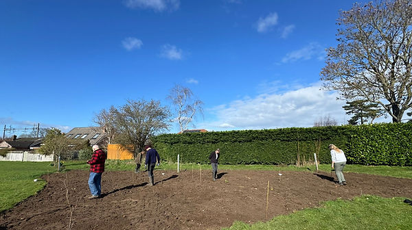 Wildflower seed planting Rec.jpg