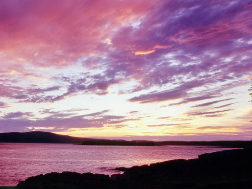 The Sweet Power of Music