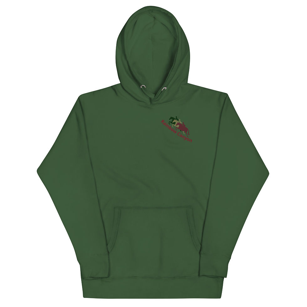 Thumbnail: RCR hoodie with large logo on back