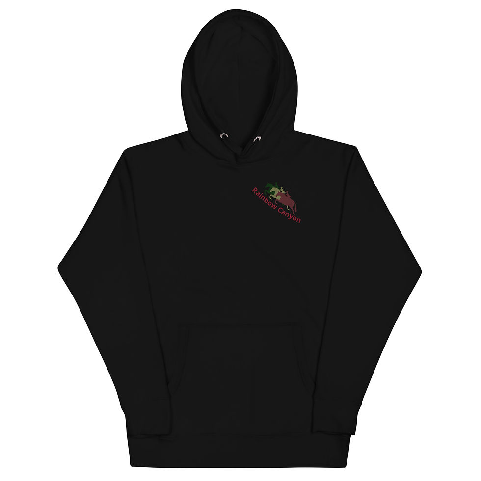 Thumbnail: RCR hoodie with large logo on back