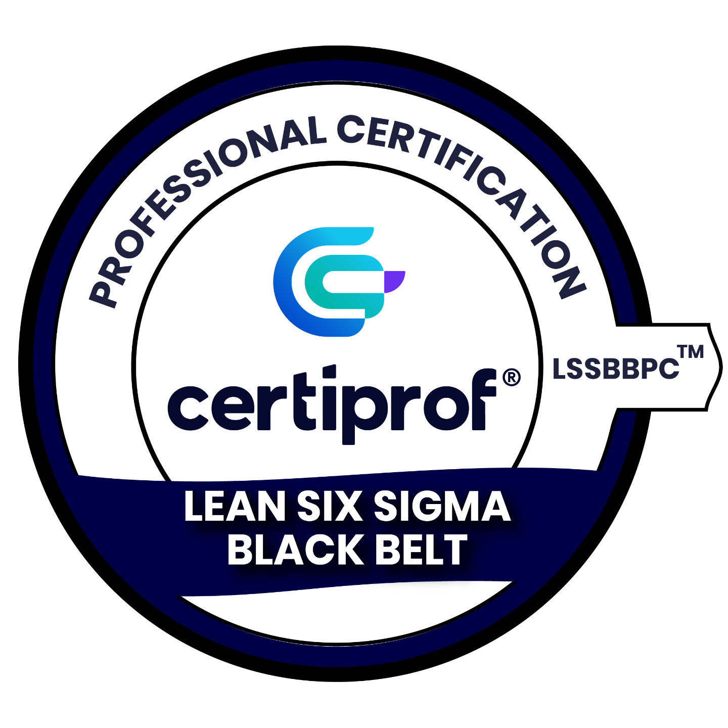 Lean Six Sigma Black Certification - No incluye $50 del examen