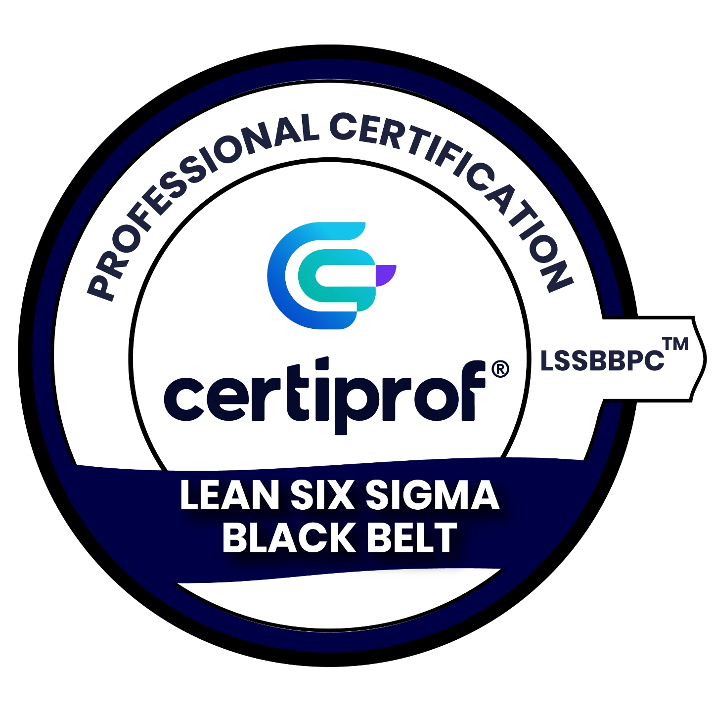 Lean Six Sigma Black Certification  - No incluye $50 del examen