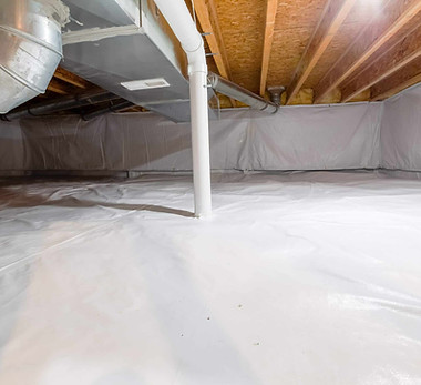 Eco pro encapsulation pic .jpeg