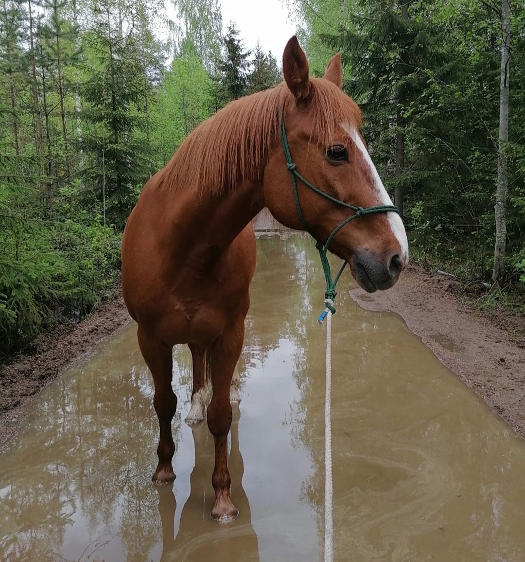 Siedätys, 1-2 osallistujaa