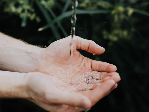 5 Simple Ways You Can Make a Difference for Earth Day