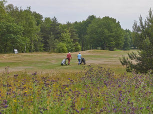 De Tongelreep speelt weer op 9 holes