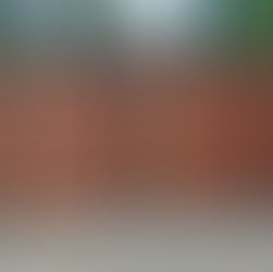 Advantages of a Welded Steel Frame for Your Gate