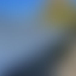 Vinyl Fencing is the next big thing! 