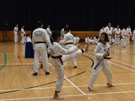 Why the Singapore Taekwondo Federation Matters for Every Martial Artist