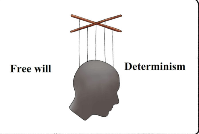 "Free will" and "Determinism" on a white background.