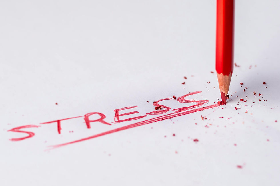 The Art of Stress Management