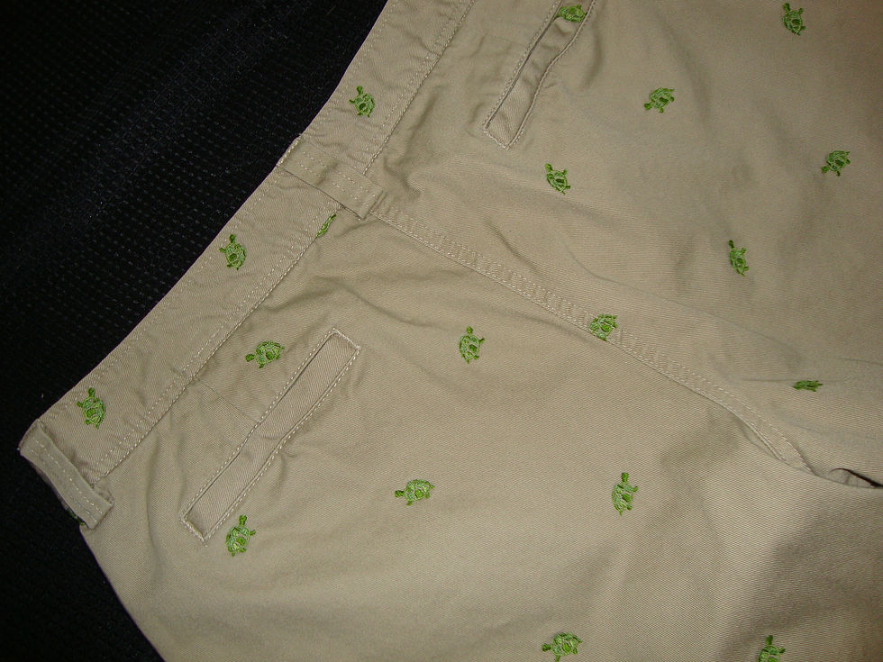 Thumbnail: Embroidered green turtle pattern on J.Crew khaki pants.