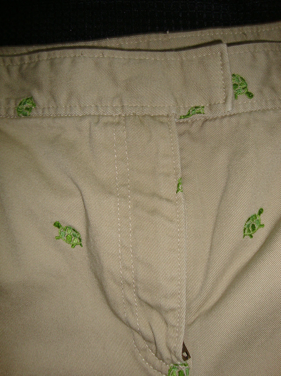 Thumbnail: Embroidered green turtle pattern on J.Crew khaki pants