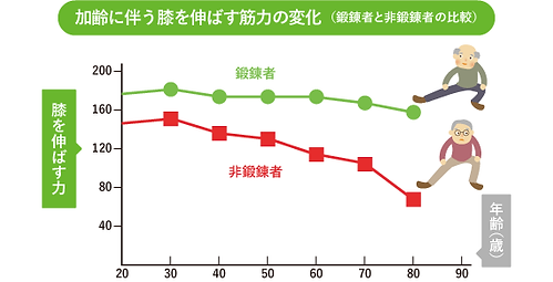 年齢を重ねる毎に膝を伸ばす筋肉は衰える