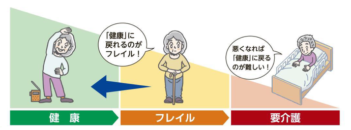 フレイルとは健康と要介護の間