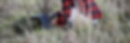 DSC_0101_edited.jpg