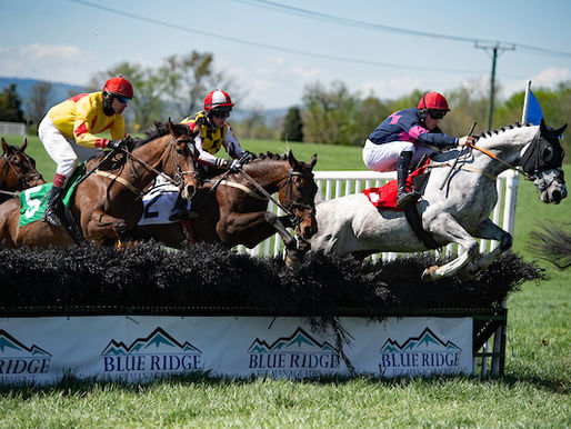 These are YOUR SOTA reps for 2020! 