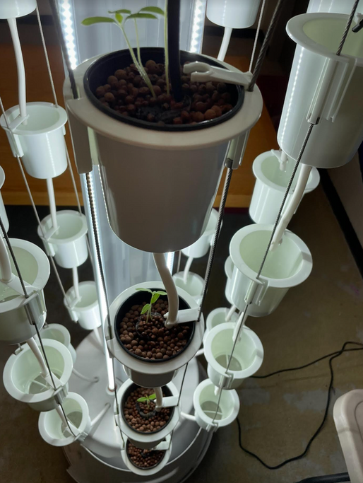 A tower of sprouting greens in their respective pots