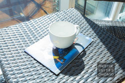 Furnished Studio 161 W Kinzie ENV