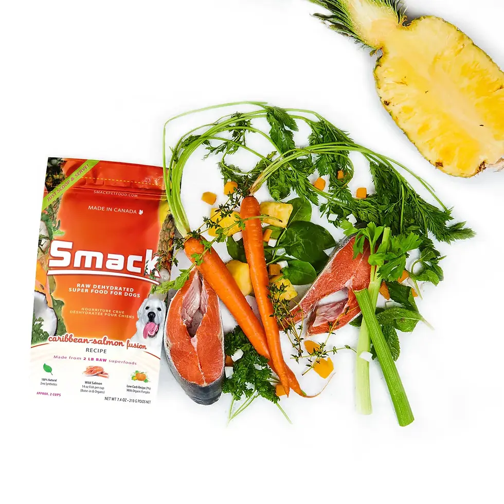 Miniature : Smack - Nourriture crus déshydratée pour chien - Saumon