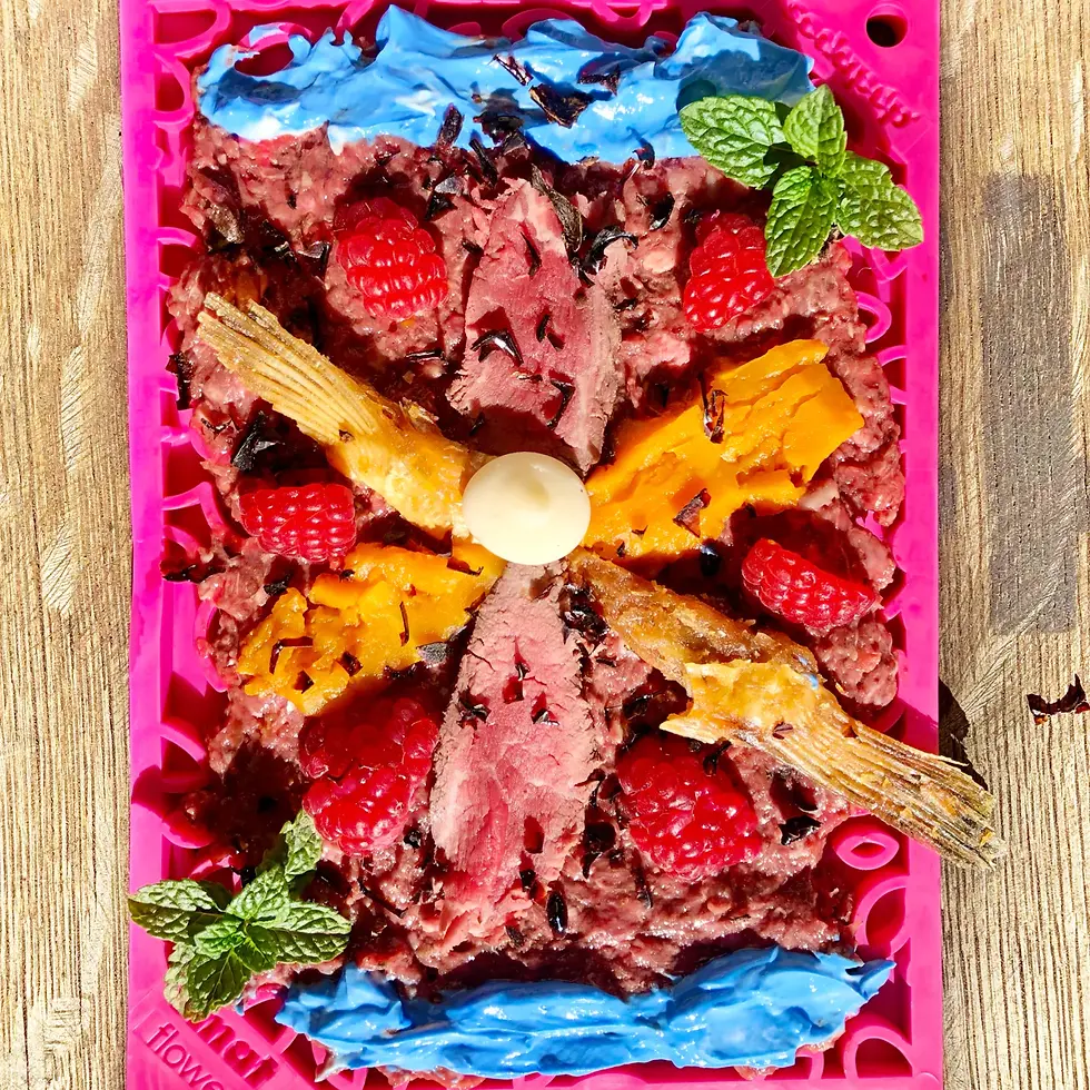 Miniature : SodaPup - eMAT - Tapis de léchage 5x7