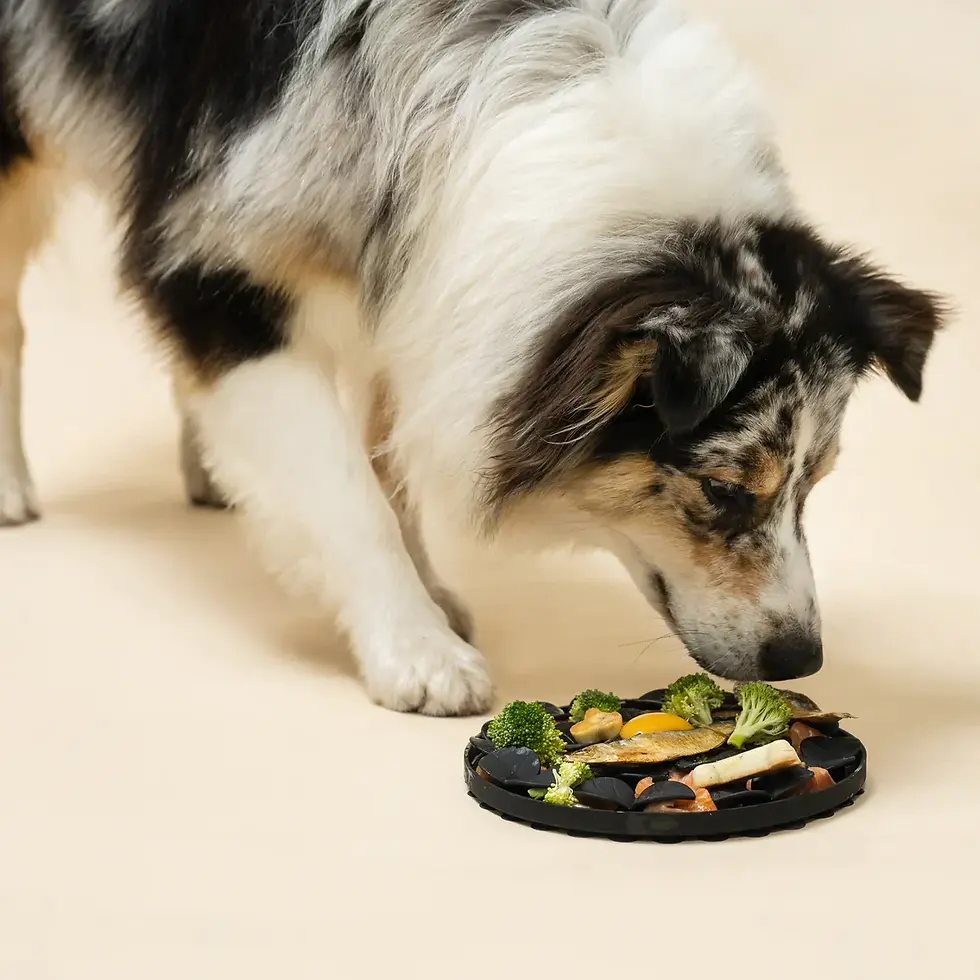 Miniature : SodaPup - Hound+Pup Lick Mat Rond