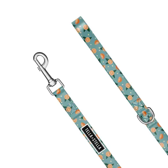 Tella & Stella - Laisse pour chien Oranger