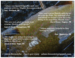 lessons1.jpeg