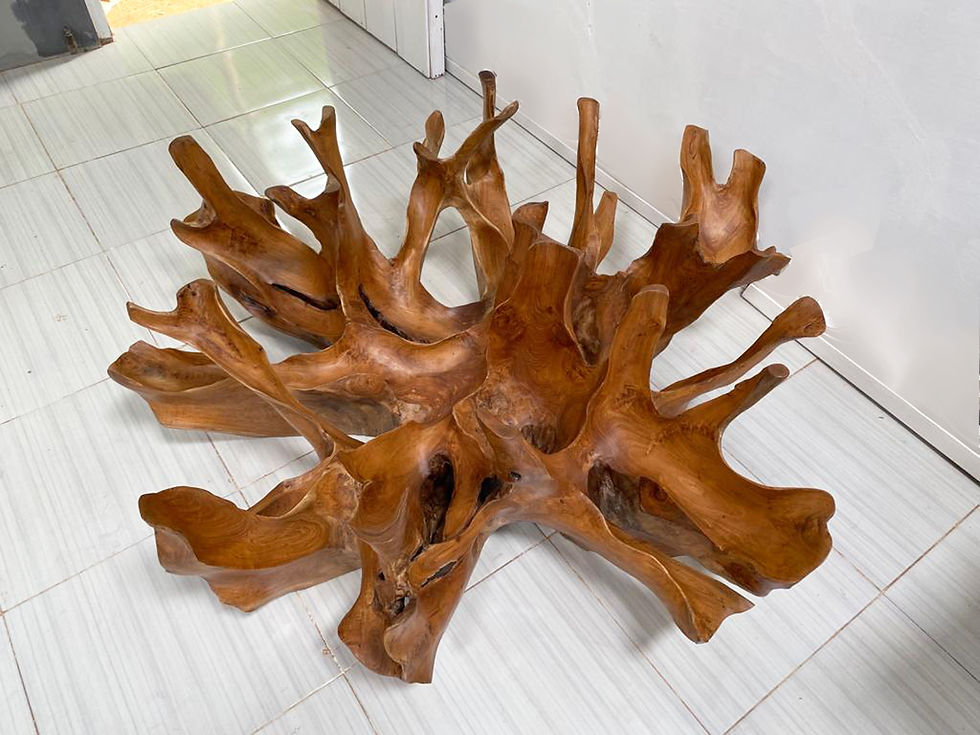 Thumbnail: 47" Elegant Coffee Table Teak Root wood, One-of-a-kind functional work of art