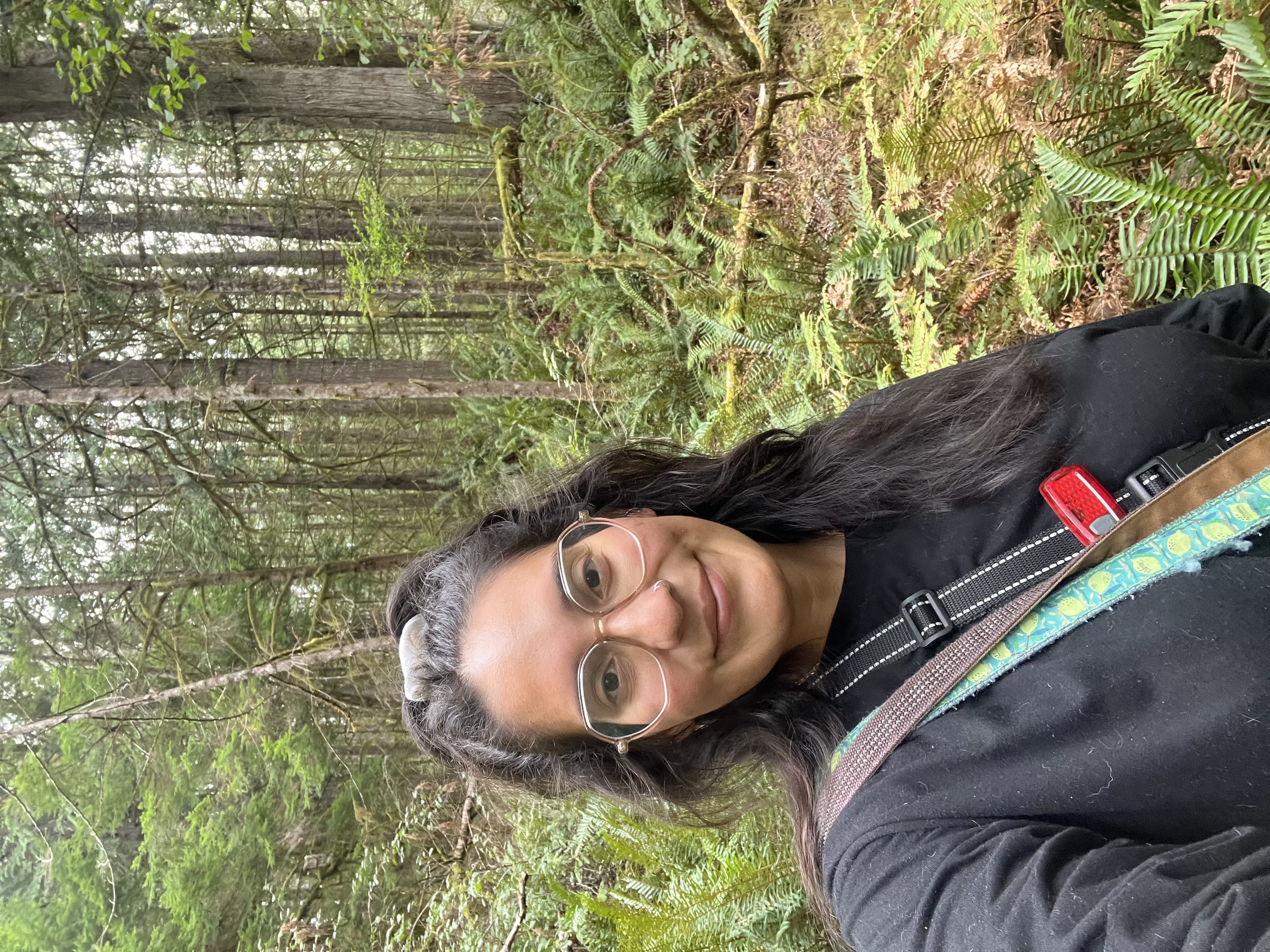 Writer: Silvia C. Fernandez Garcia