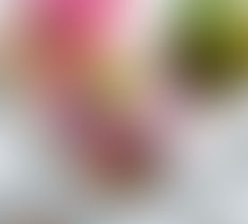 純素下午茶|亞洲最佳甜品師 Mineko Kato 再臨麗晶:有機、純素、時令食材提煉清新芳香 L’Alchimia dei Profumi 意式海景純素下午茶