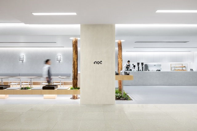 咖啡可持續｜香港木庫回收樹幹進駐noc太古城分店 「森林之下」 歎啡 簡約文青風撐起太古城啡迷專注力
