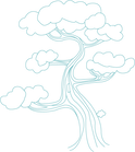 Tree Sketch