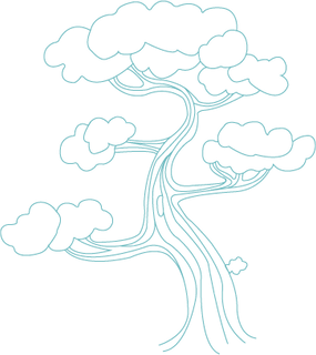 Albero Sketch