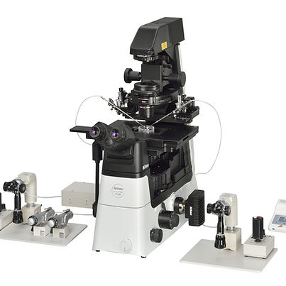Microscope Nikon.jpg