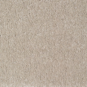 #EBE101 BEIGE.jpeg